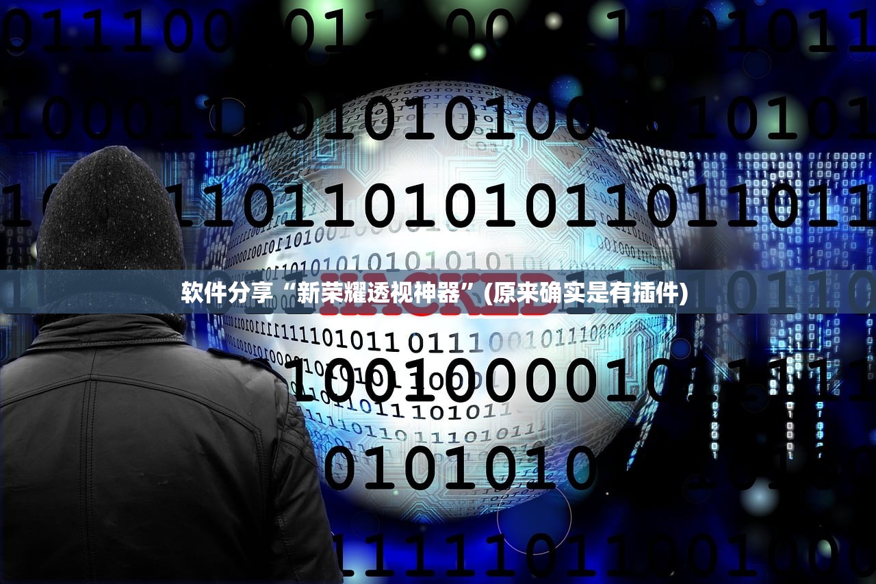 软件分享“新荣耀透视神器”(原来确实是有插件) 