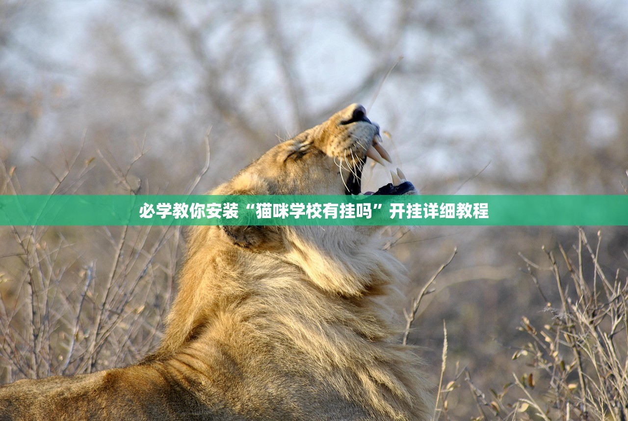 必学教你安装“猫咪学校有挂吗”开挂详细教程