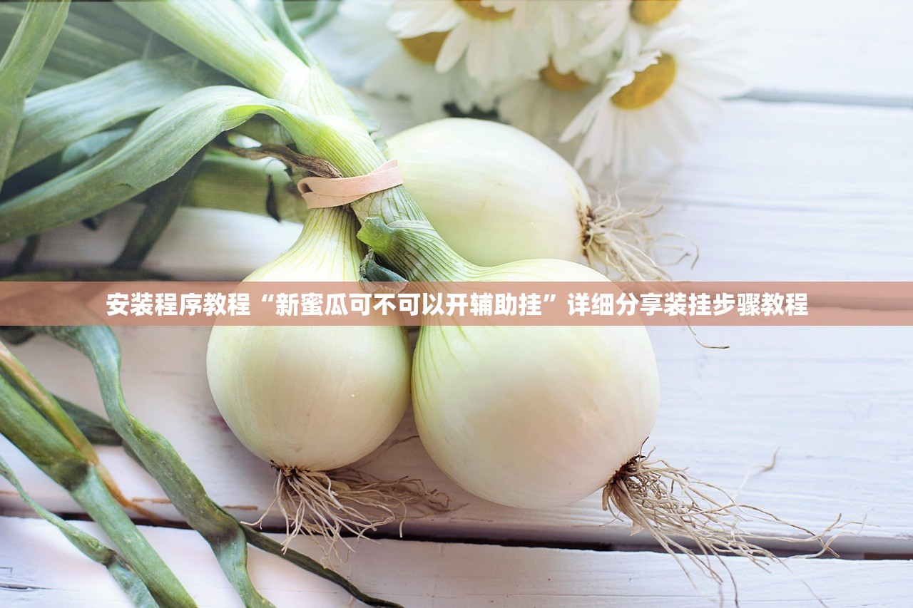 安装程序教程“新蜜瓜可不可以开辅助挂”详细分享装挂步骤教程