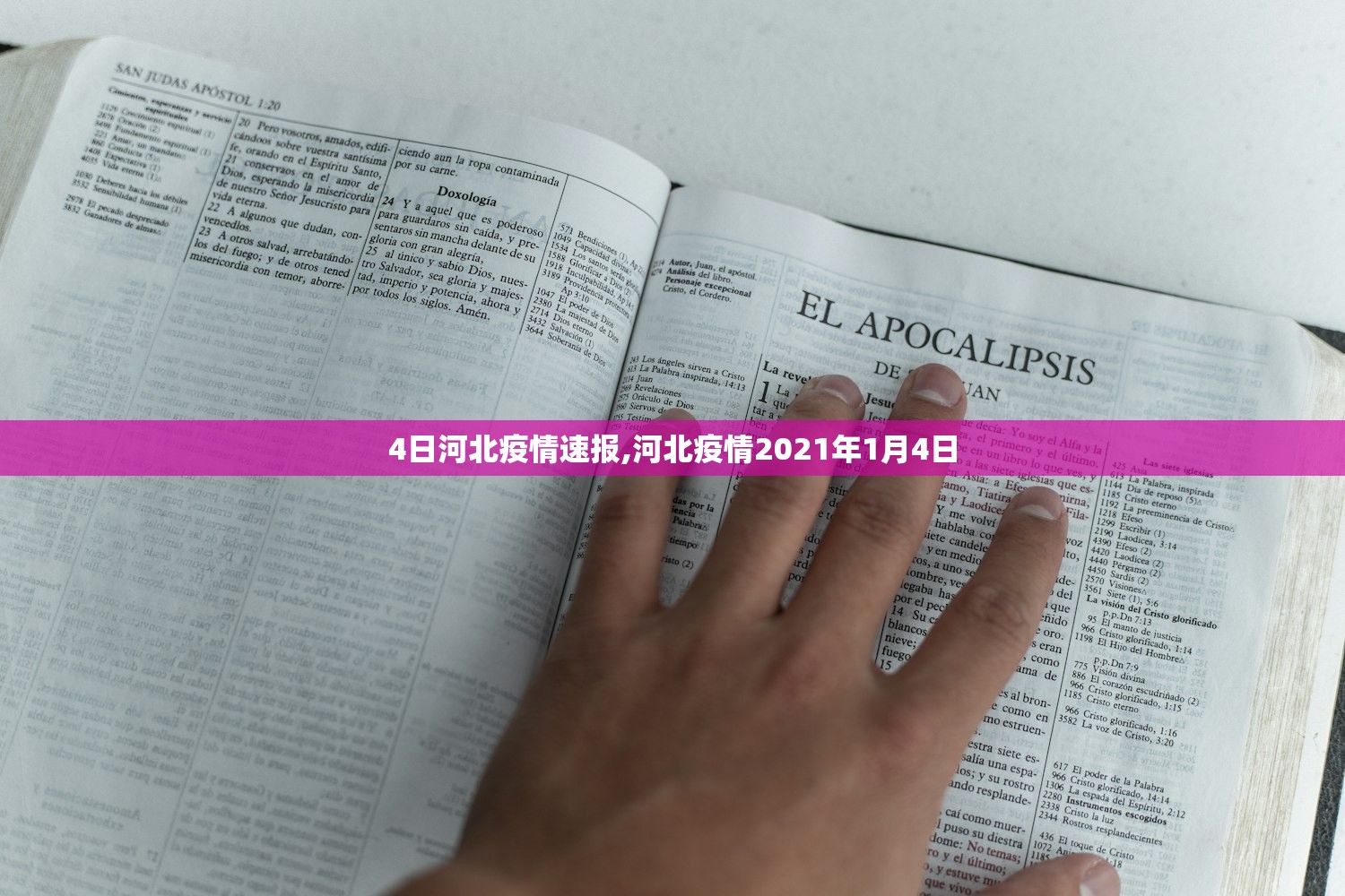 4日河北疫情速报,河北疫情2021年1月4日 4日河北疫情速报,河北疫情2021年1月4日