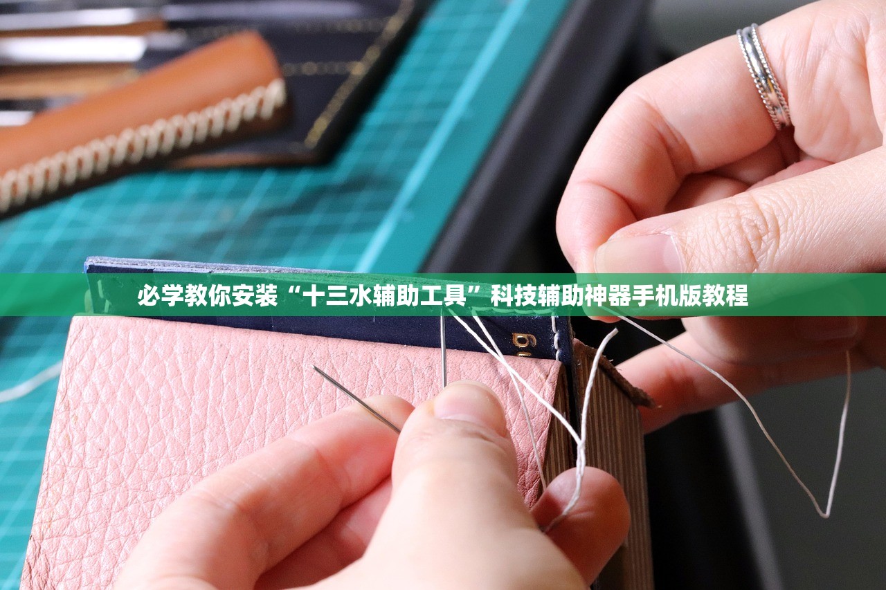 必学教你安装“十三水辅助工具”科技辅助神器手机版教程