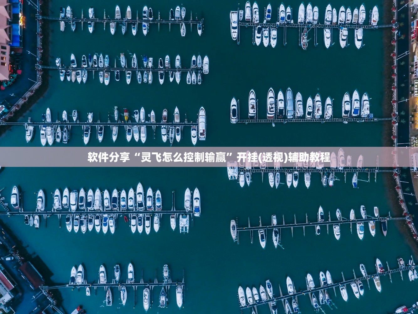 软件分享“灵飞怎么控制输赢”开挂(透视)辅助教程