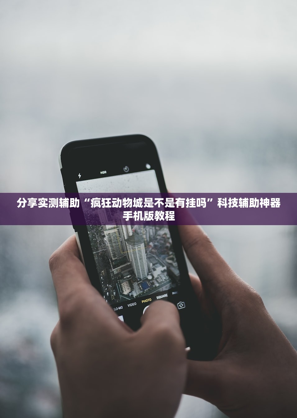分享实测辅助“疯狂动物城是不是有挂吗”科技辅助神器手机版教程