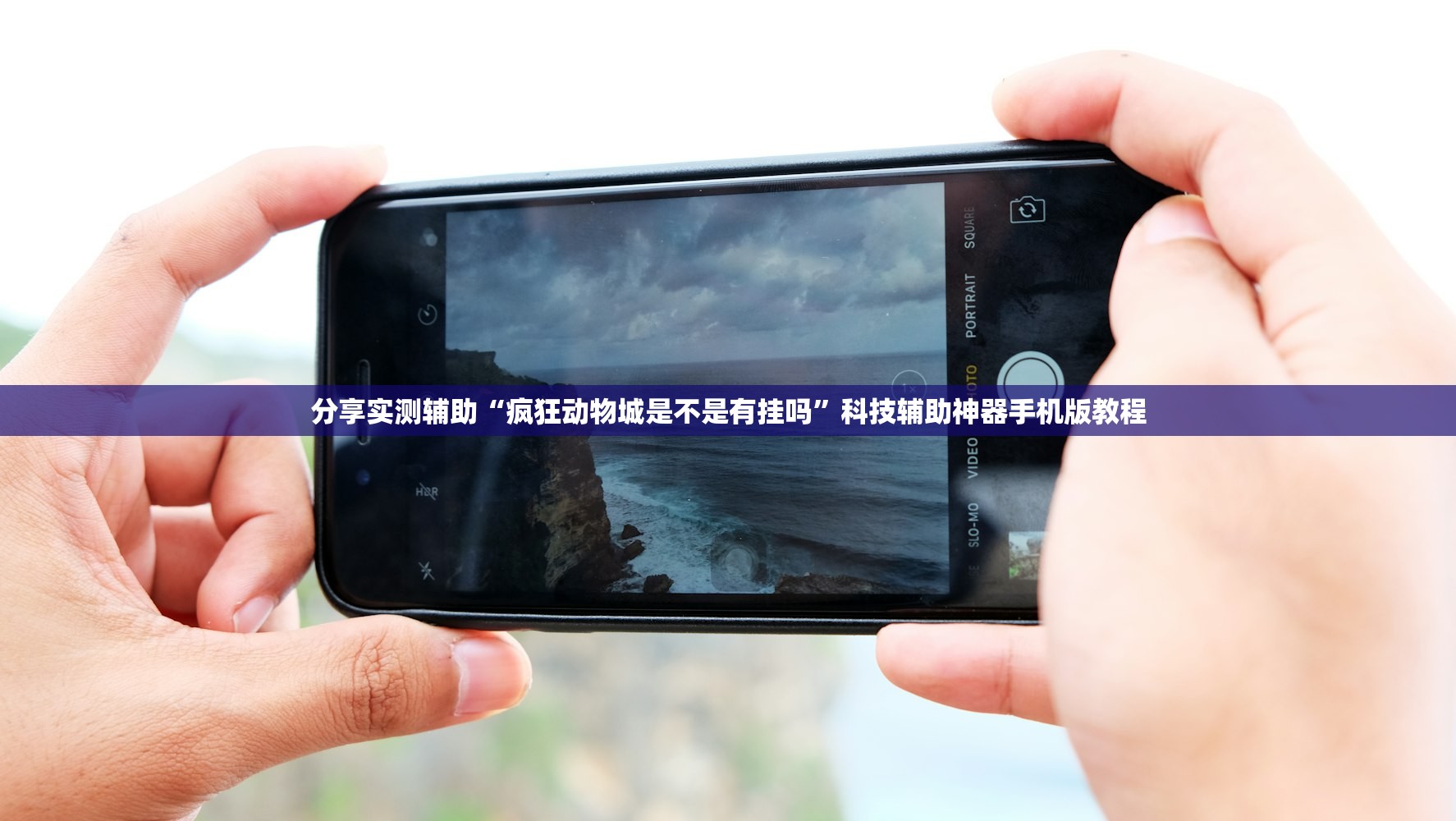 分享实测辅助“疯狂动物城是不是有挂吗	”科技辅助神器手机版教程