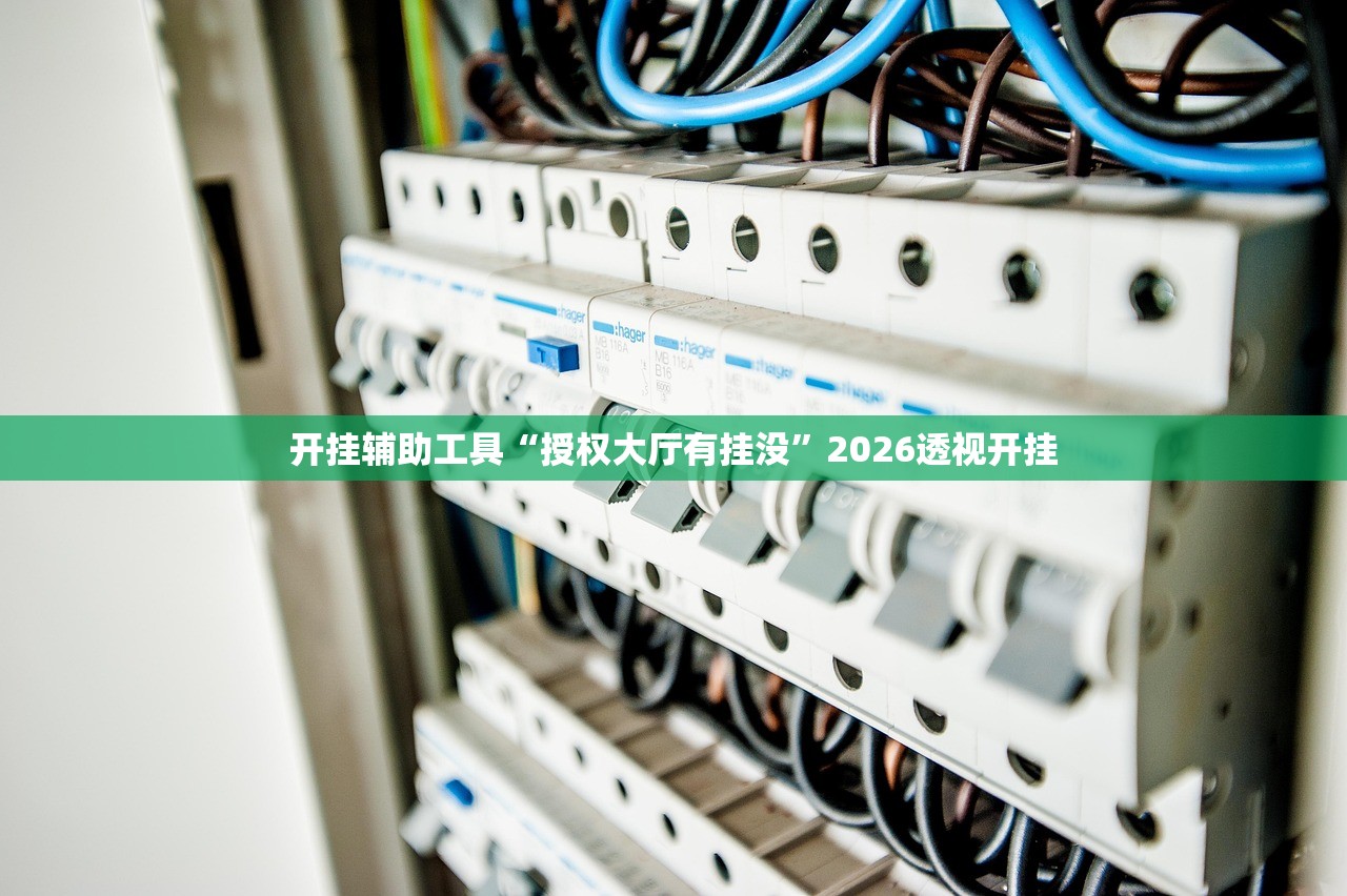 开挂辅助工具“授权大厅有挂没”2026透视开挂
