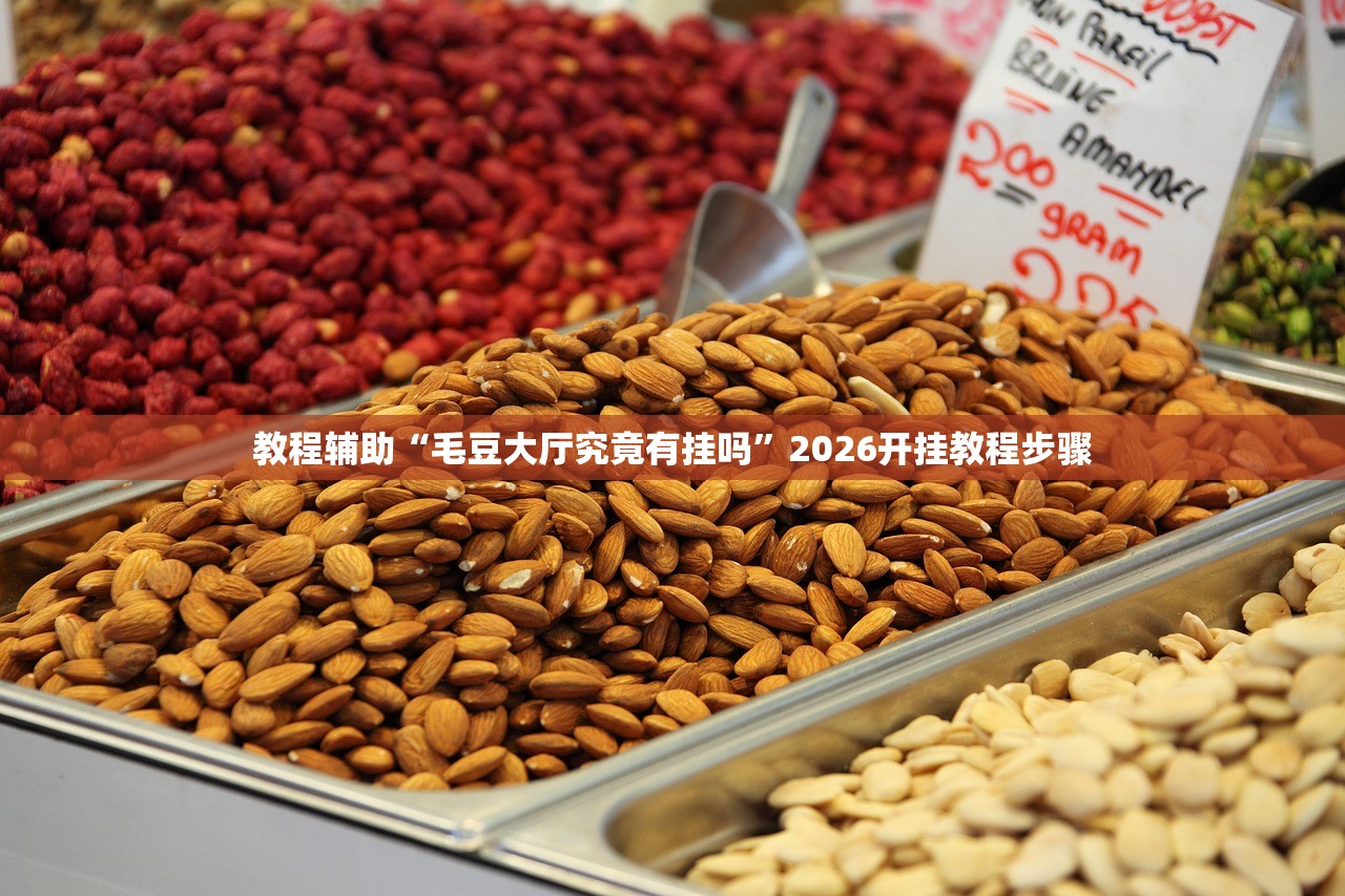 教程辅助“毛豆大厅究竟有挂吗”2026开挂教程步骤