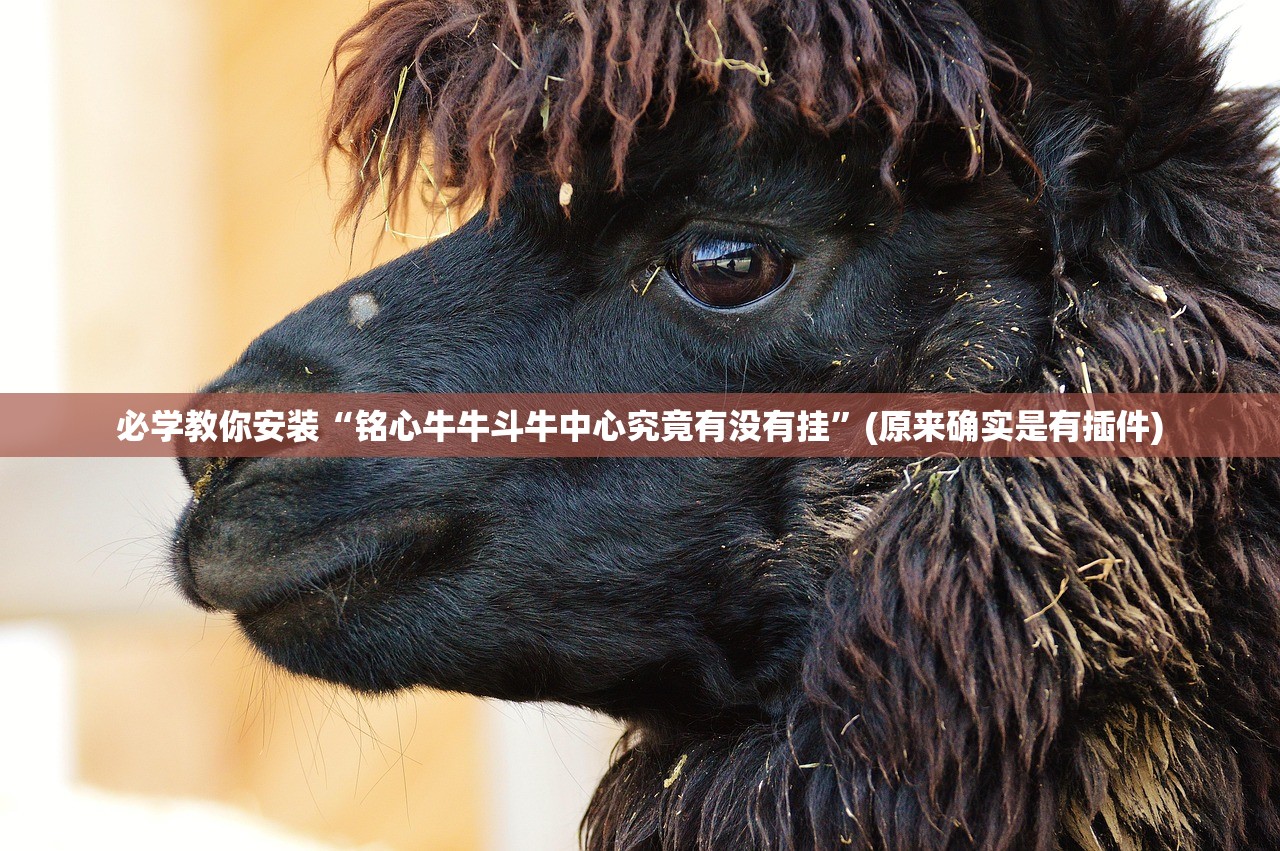 必学教你安装“铭心牛牛斗牛中心究竟有没有挂”(原来确实是有插件)