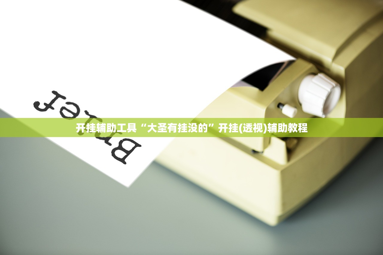 开挂辅助工具“大圣有挂没的”开挂(透视)辅助教程