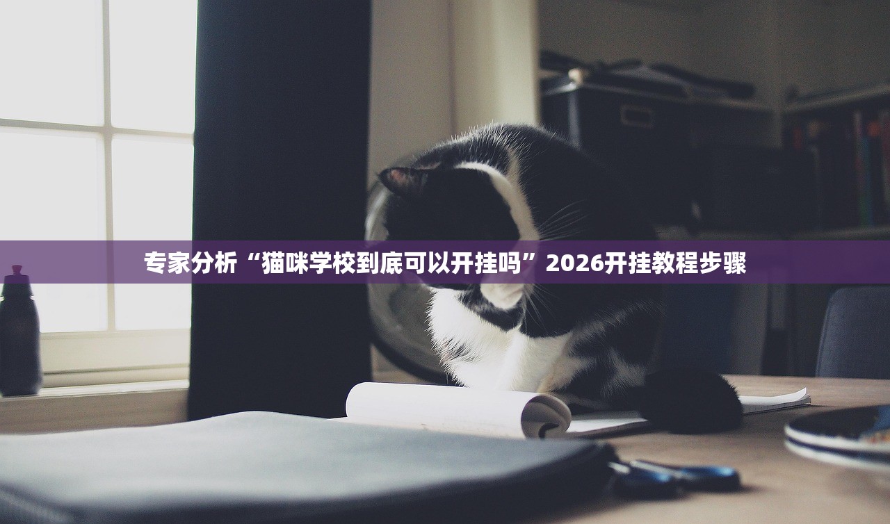 专家分析“猫咪学校到底可以开挂吗”2026开挂教程步骤