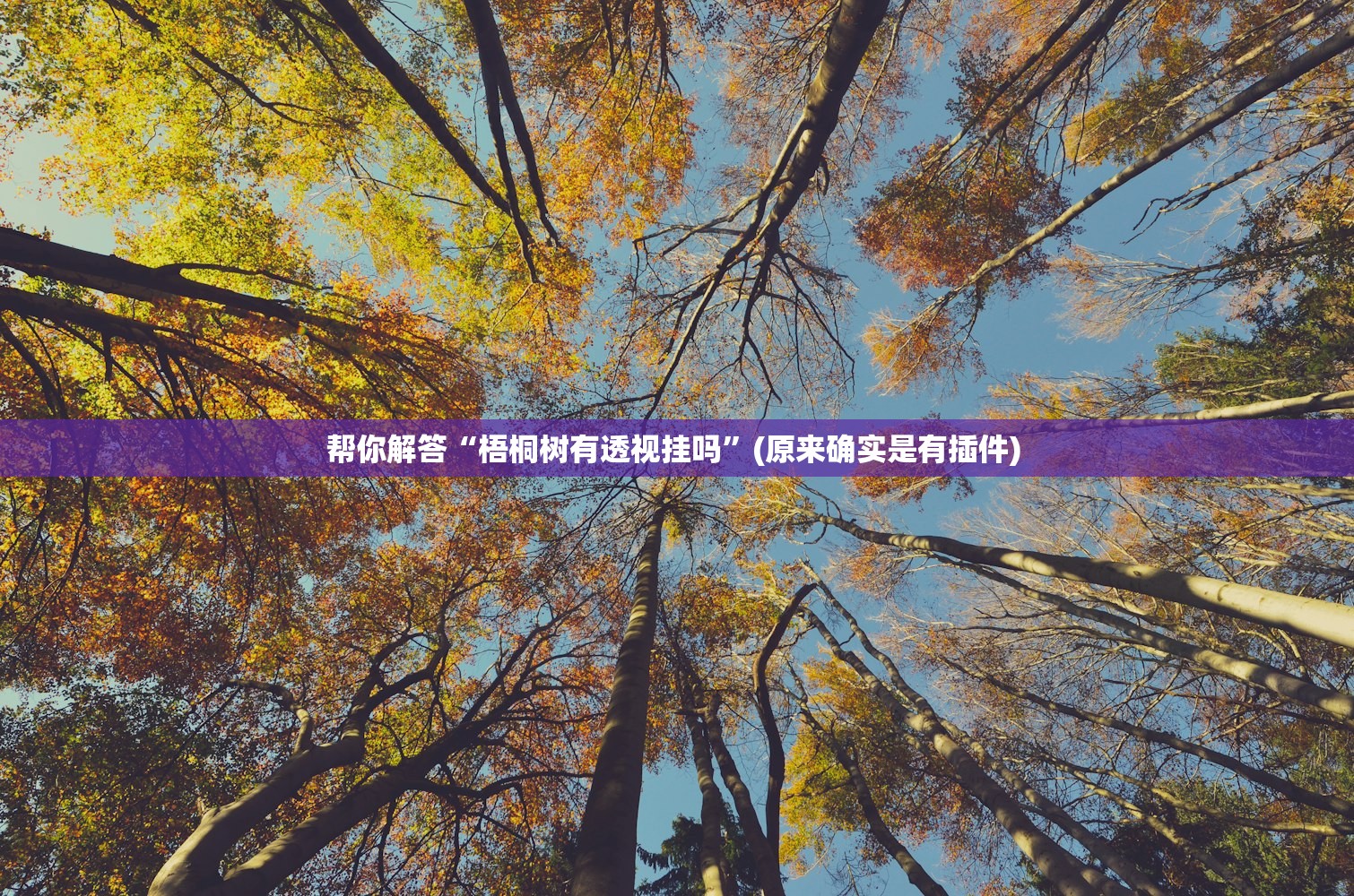 帮你解答“梧桐树有透视挂吗”(原来确实是有插件) 