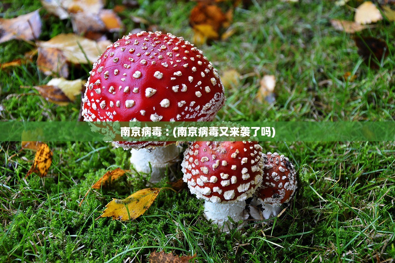 南京病毒︰(南京病毒又来袭了吗)