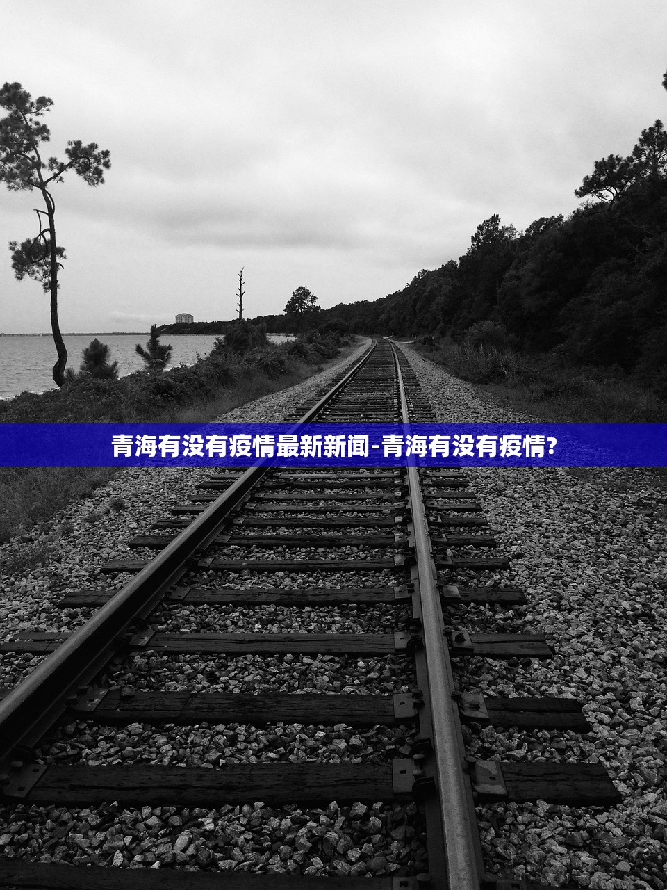 青海有没有疫情最新新闻-青海有没有疫情?