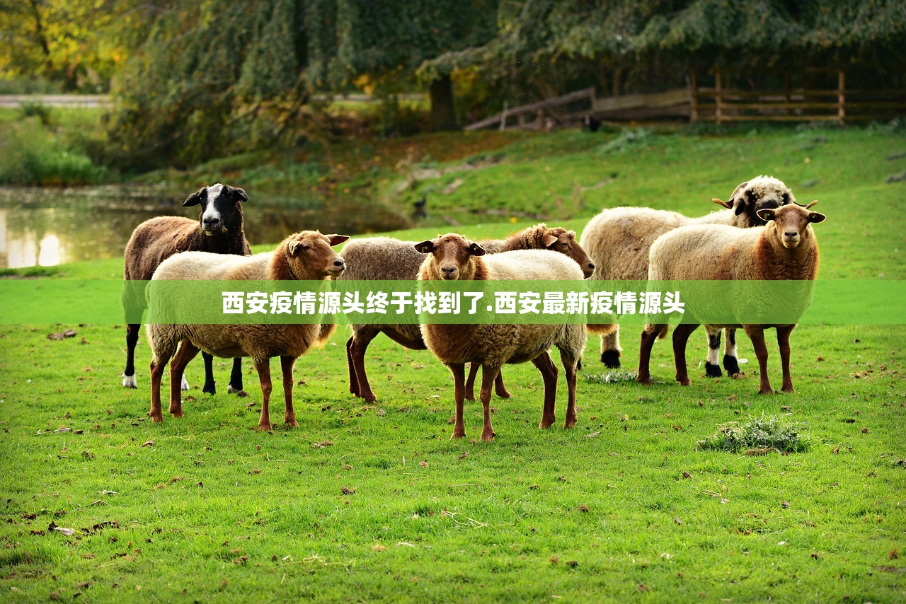 西安疫情源头终于找到了.西安最新疫情源头 西安疫情源头终于找到了.西安最新疫情源头