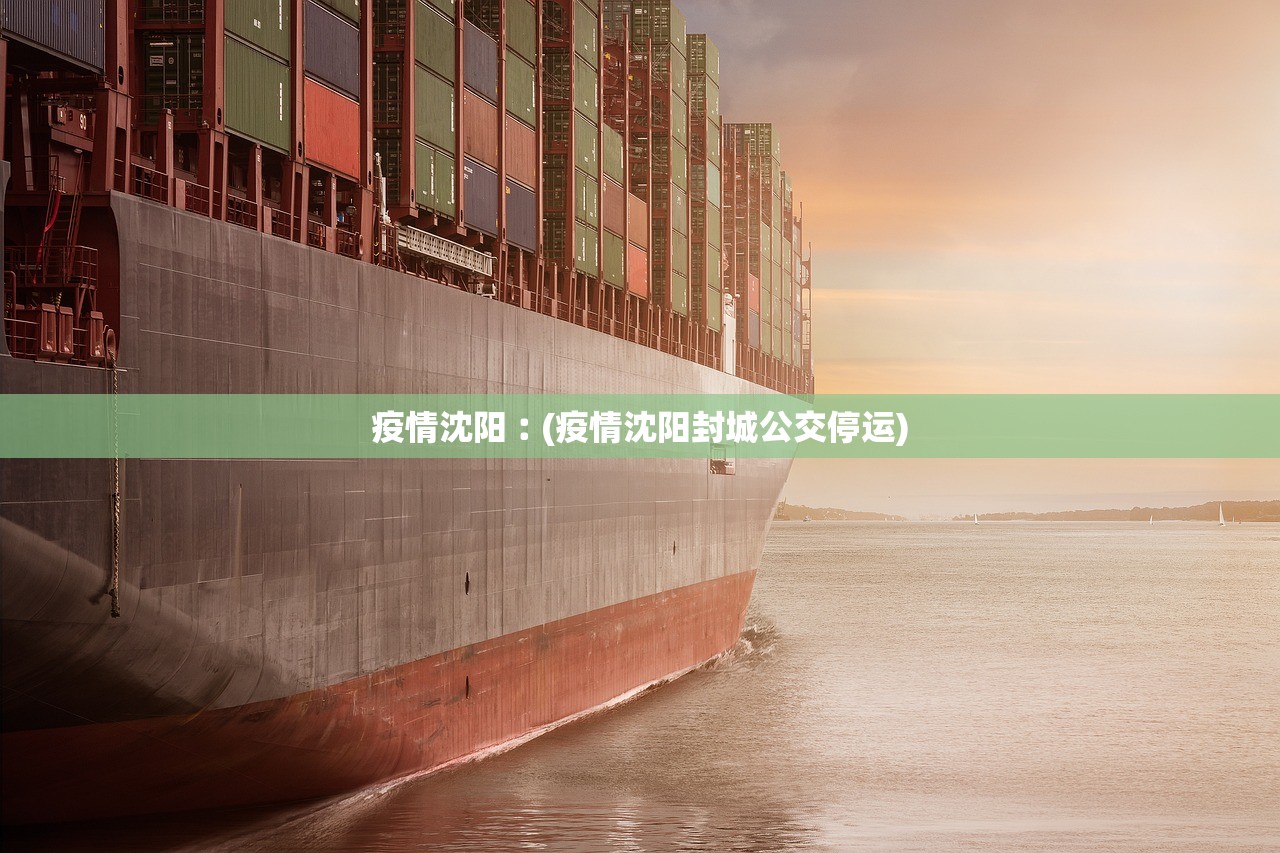 疫情沈阳︰(疫情沈阳封城公交停运)