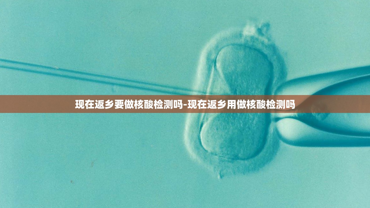 现在返乡要做核酸检测吗-现在返乡用做核酸检测吗