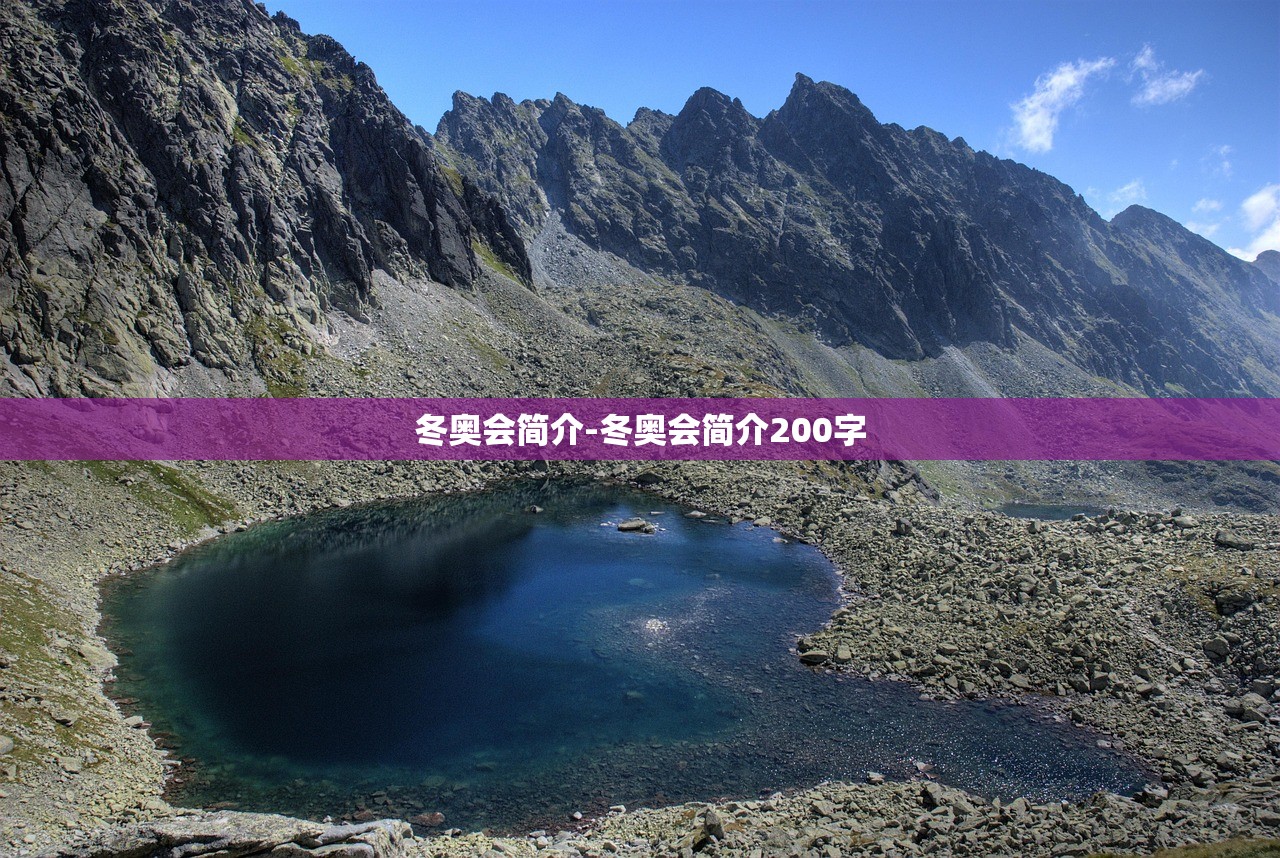 冬奥会简介-冬奥会简介200字