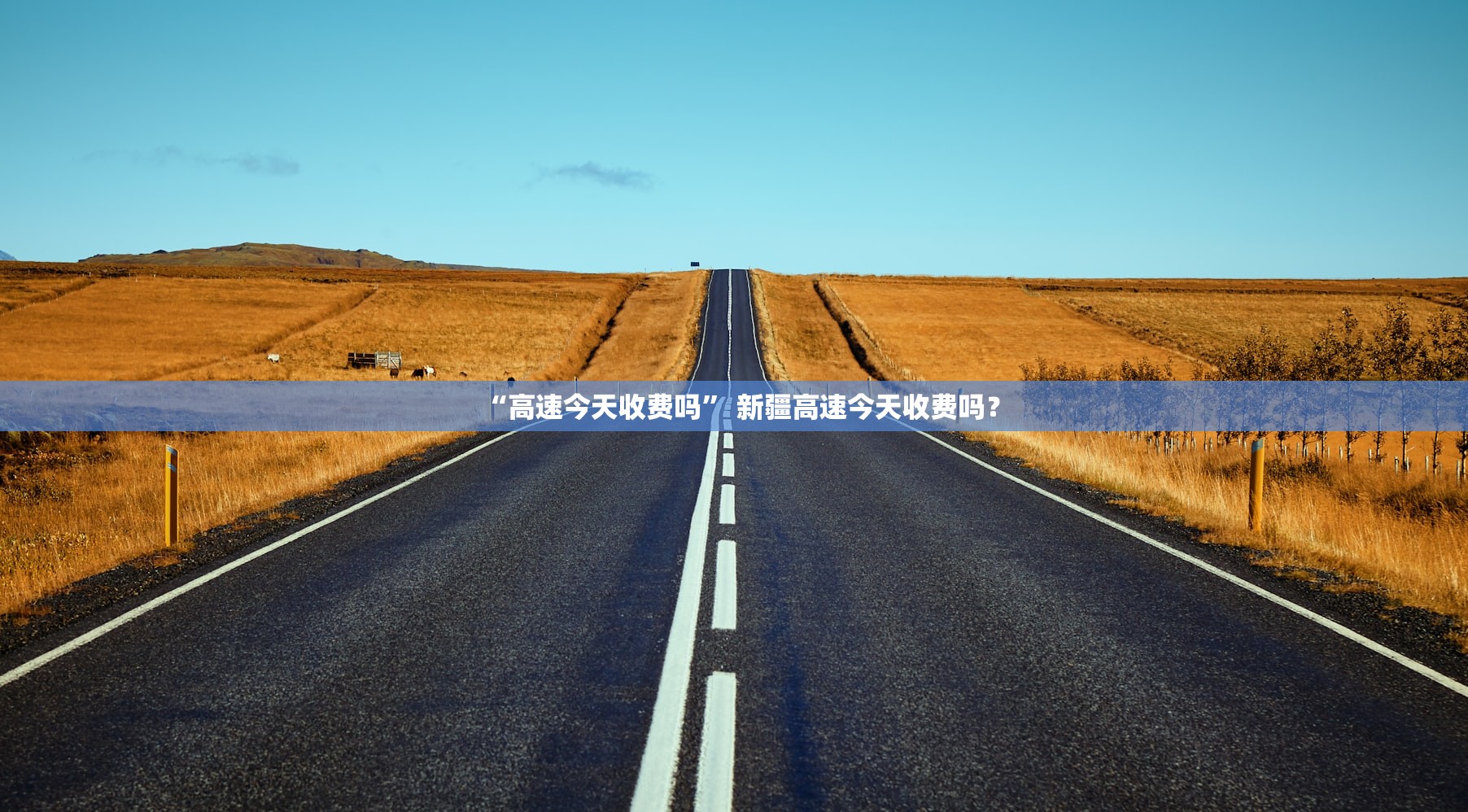 “高速今天收费吗” 新疆高速今天收费吗？