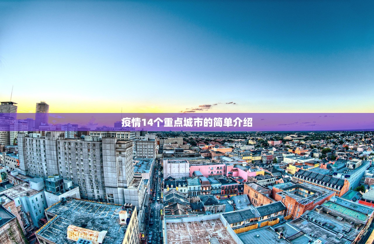 疫情14个重点城市的简单介绍