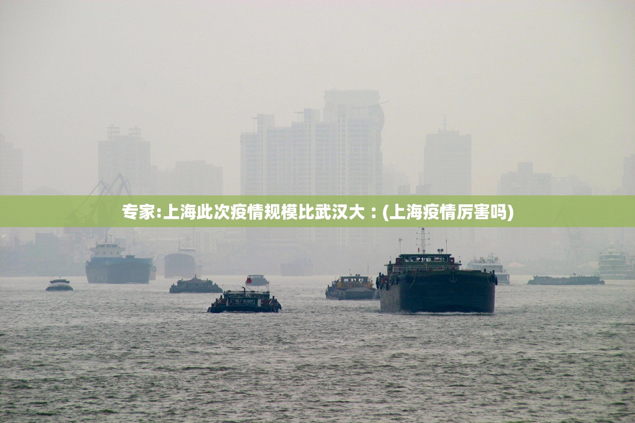 专家:上海此次疫情规模比武汉大︰(上海疫情厉害吗)