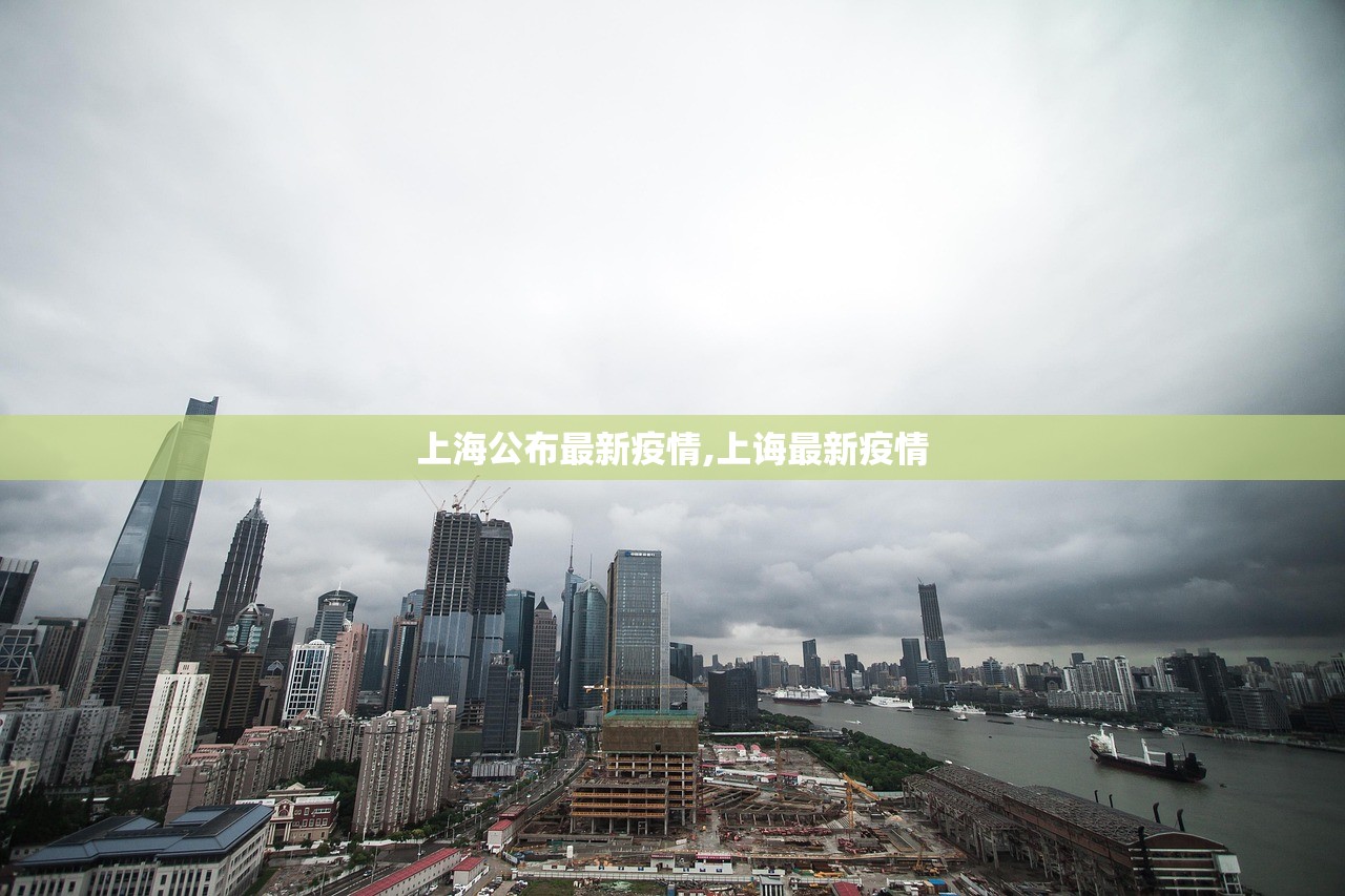 上海公布最新疫情,上诲最新疫情