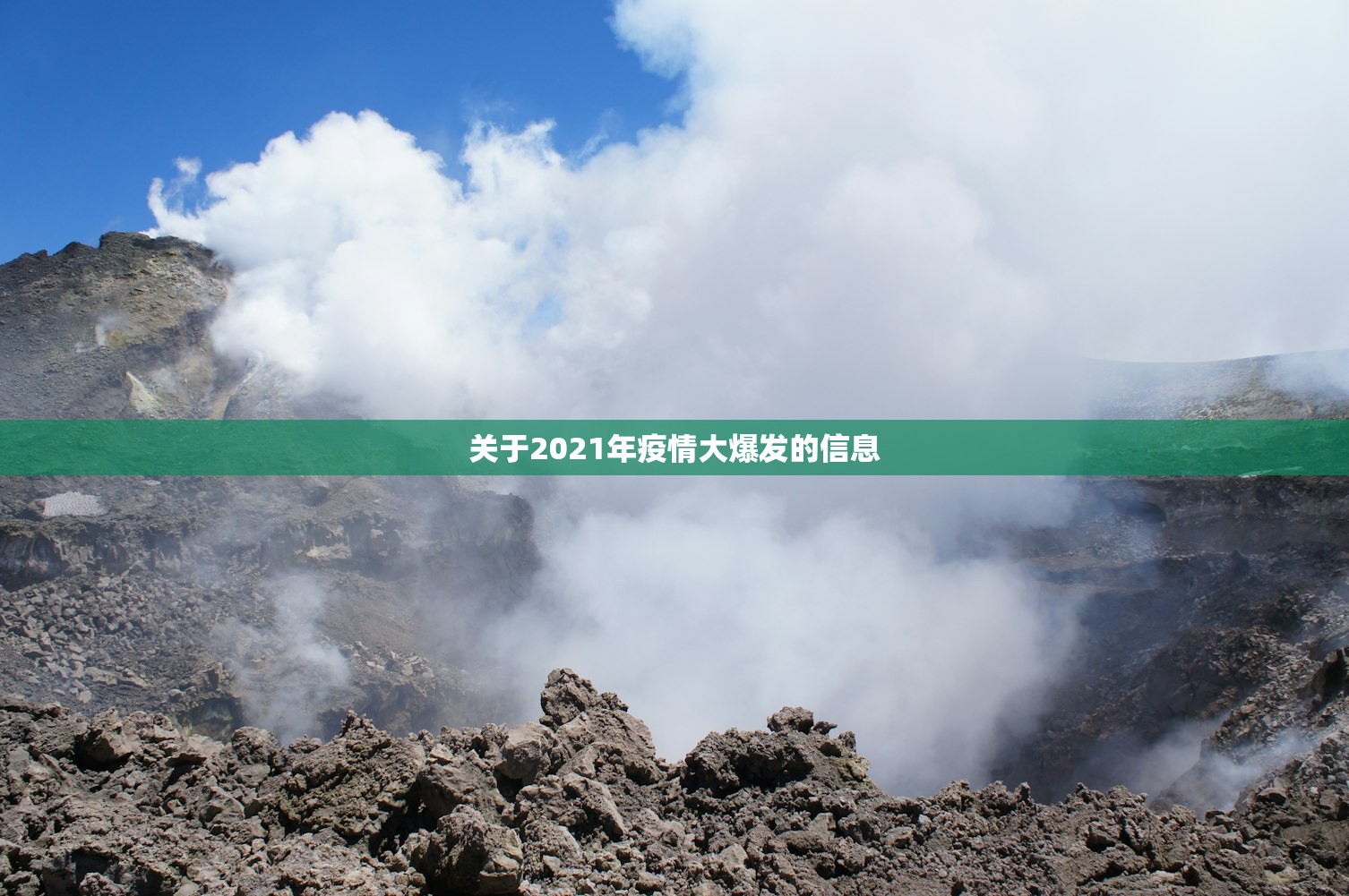 关于2021年疫情大爆发的信息