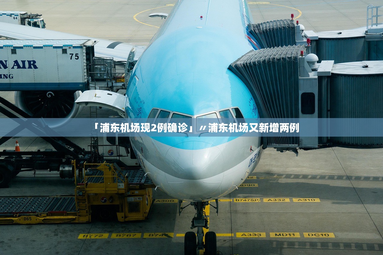 「浦东机场现2例确诊」〃浦东机场又新增两例