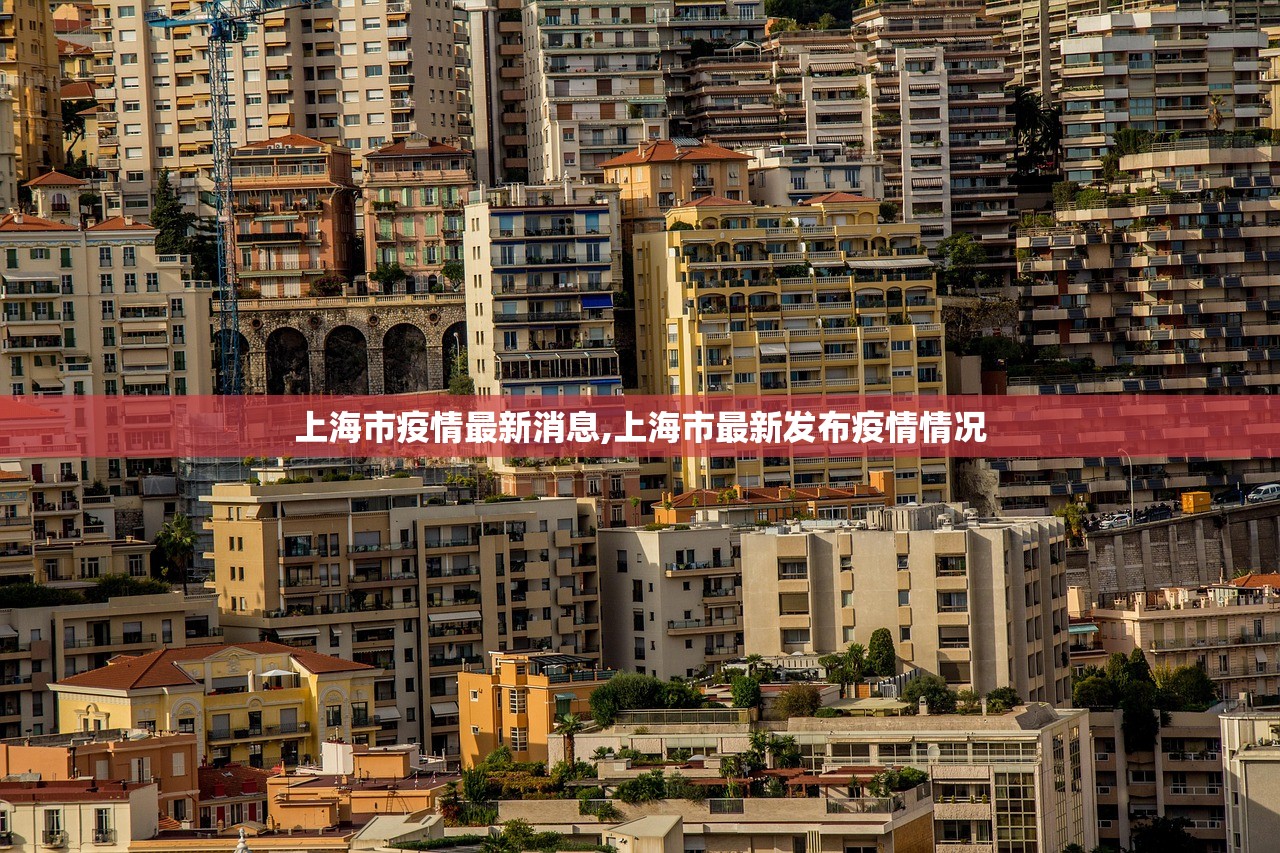 上海市疫情最新消息,上海市最新发布疫情情况