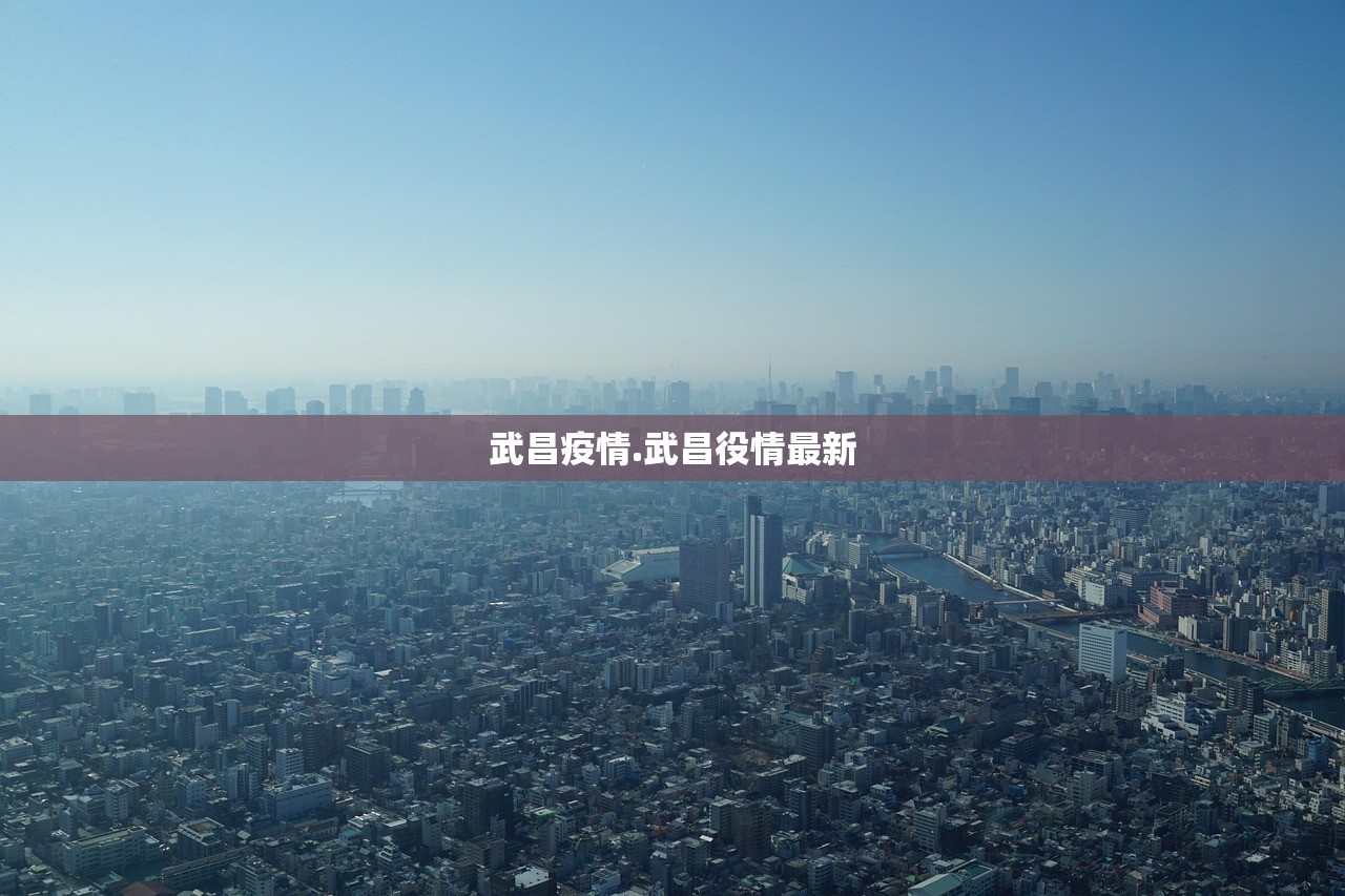 武昌疫情.武昌役情最新