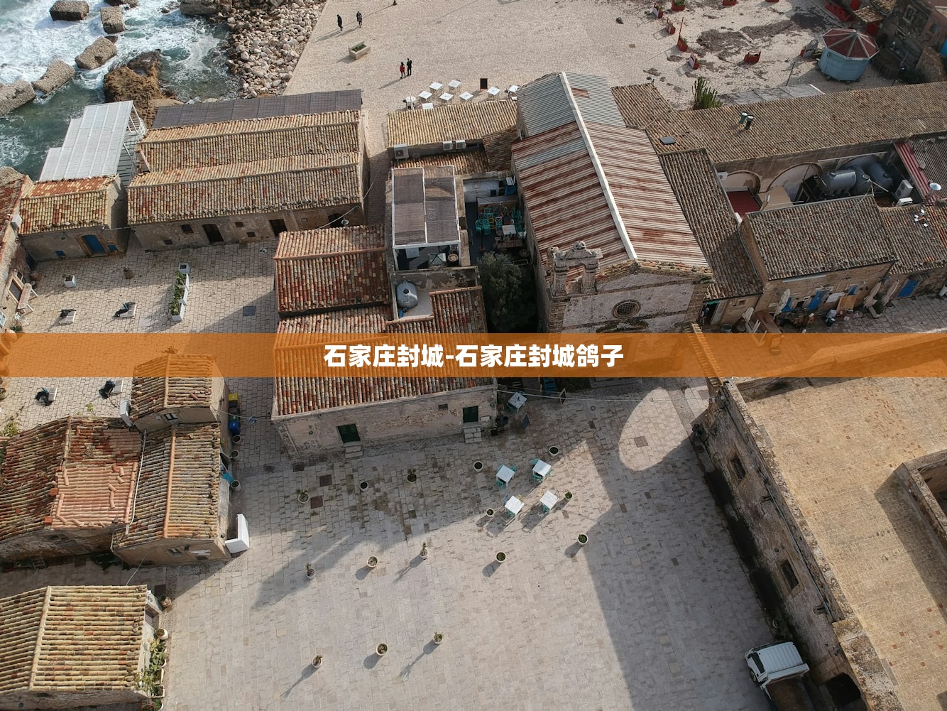 石家庄封城-石家庄封城鸽子