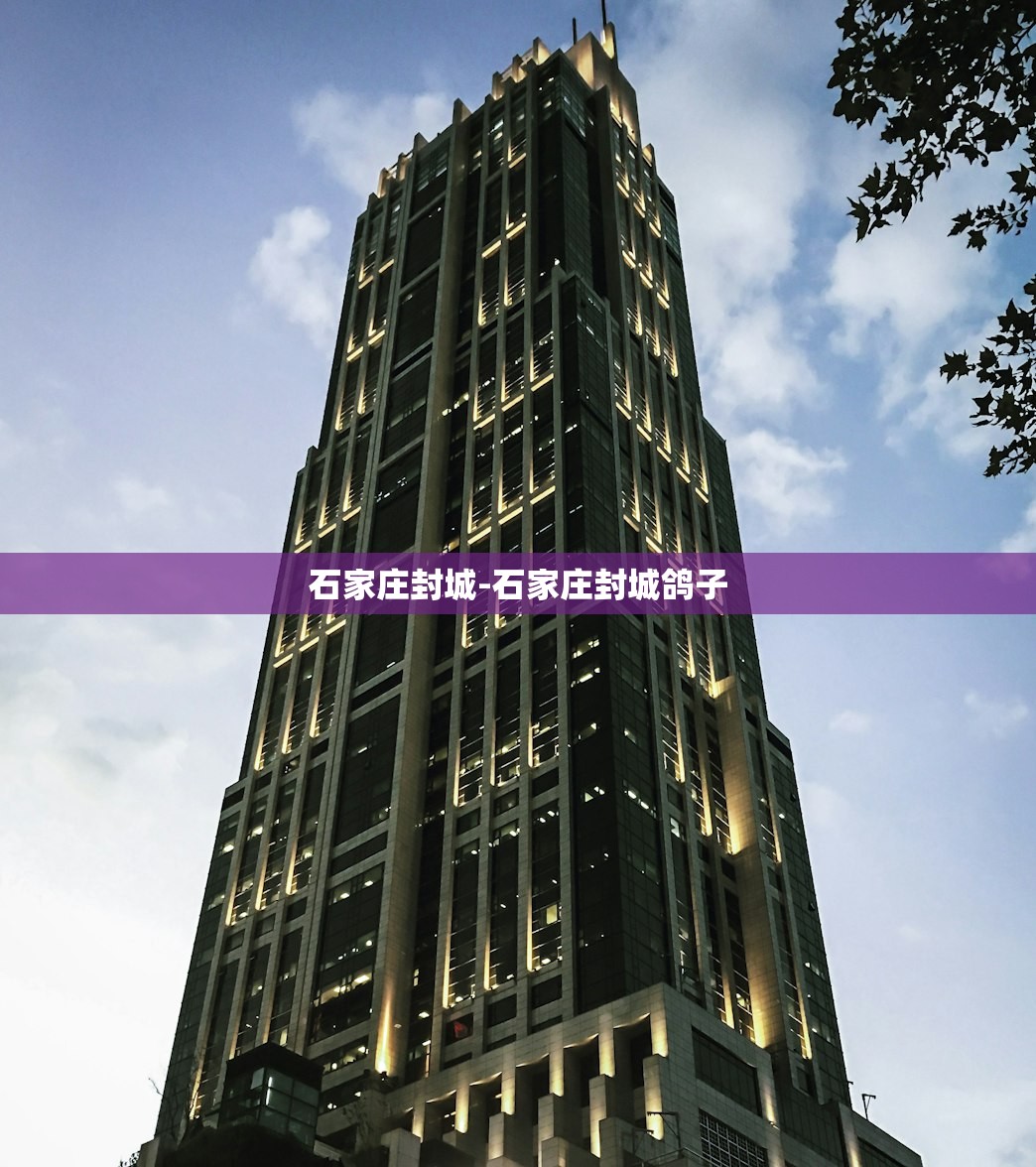 石家庄封城-石家庄封城鸽子