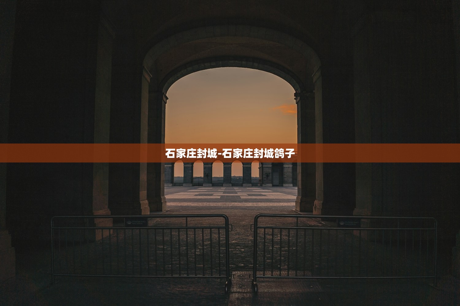 石家庄封城-石家庄封城鸽子
