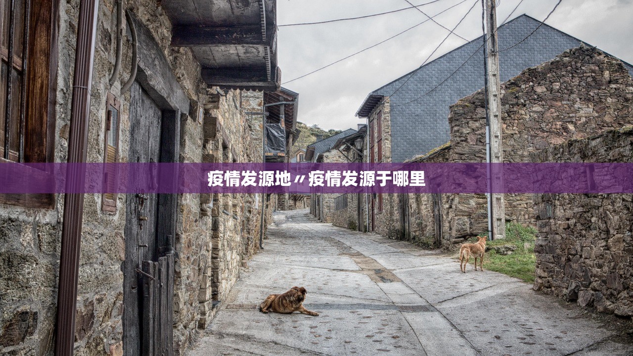 疫情发源地〃疫情发源于哪里 疫情发源地〃疫情发源于哪里