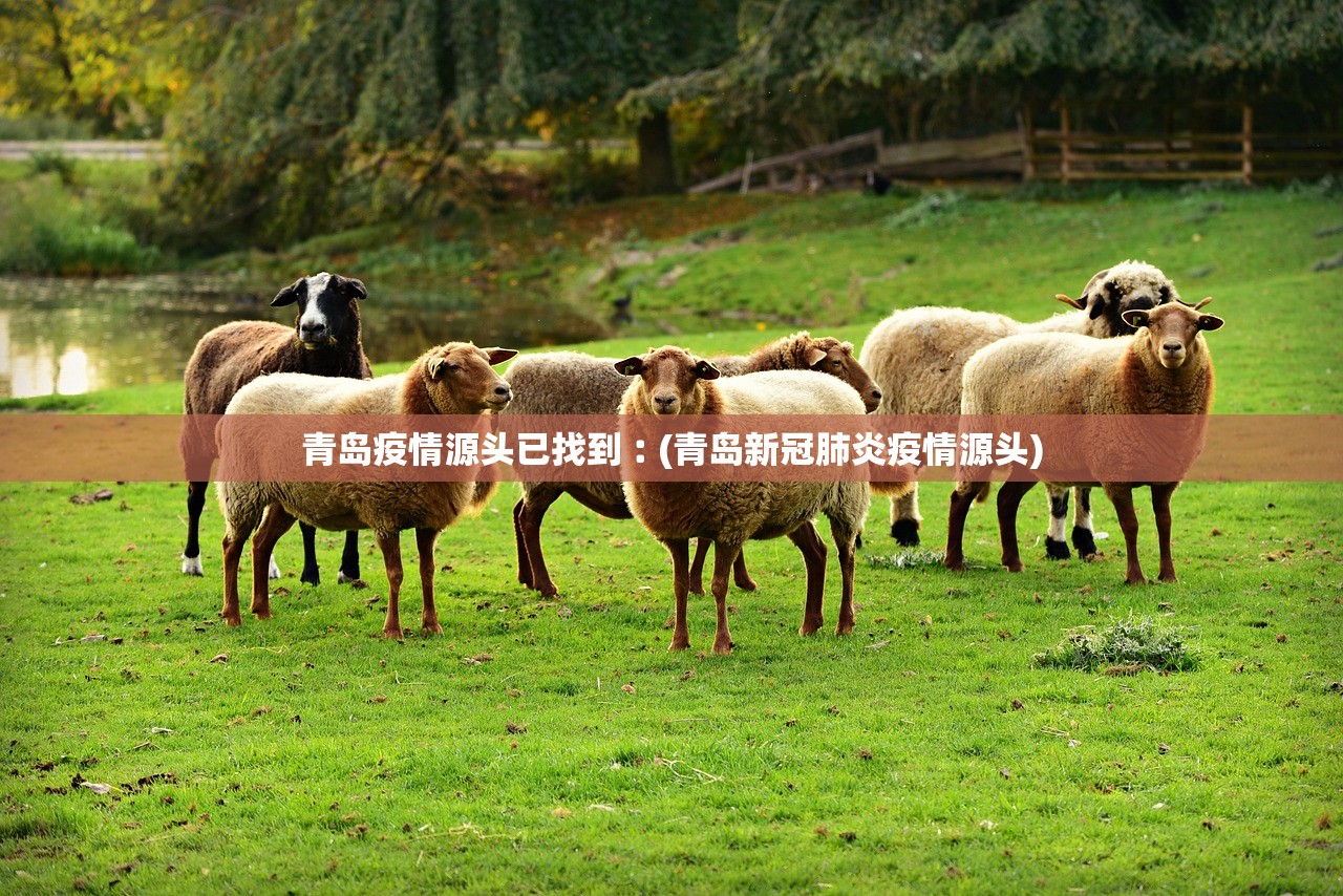 青岛疫情源头已找到︰(青岛新冠肺炎疫情源头)
