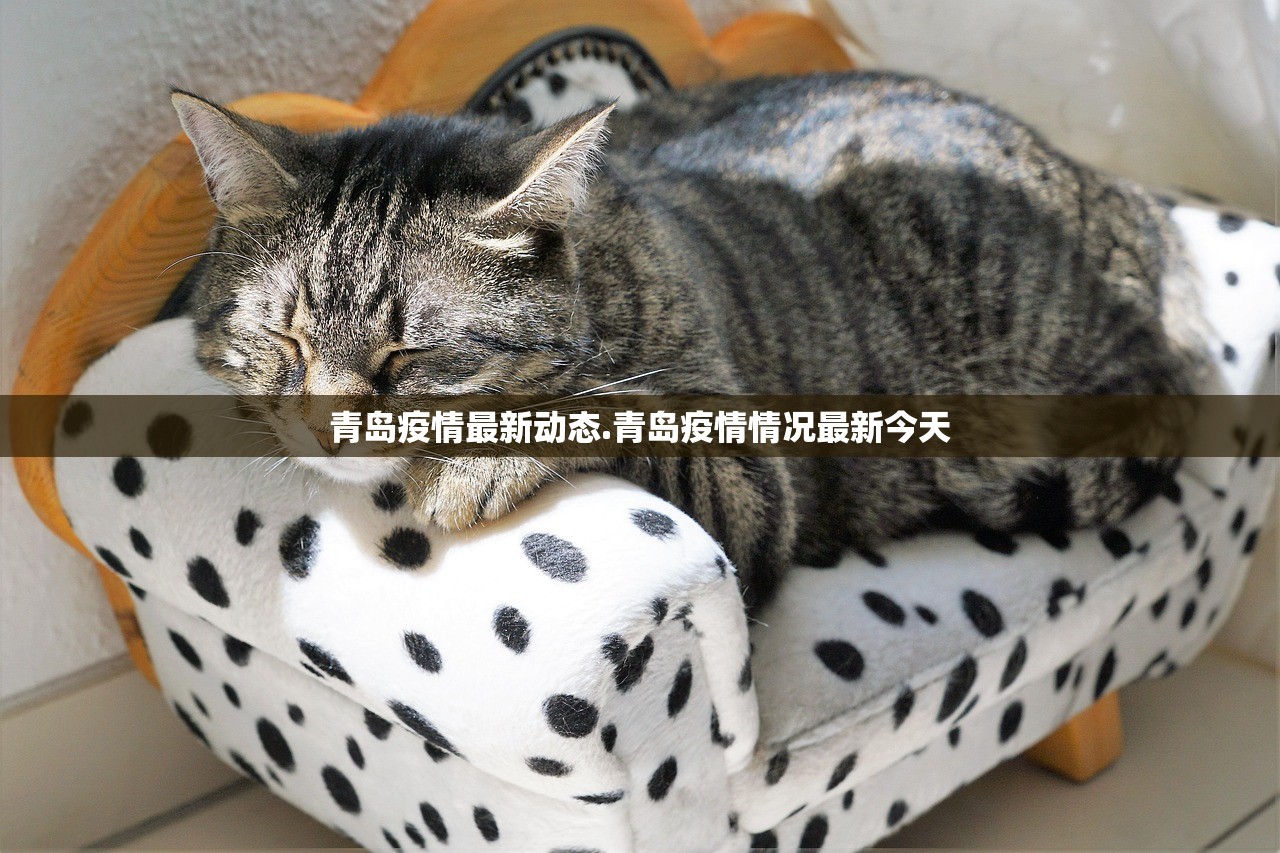 青岛疫情最新动态.青岛疫情情况最新今天