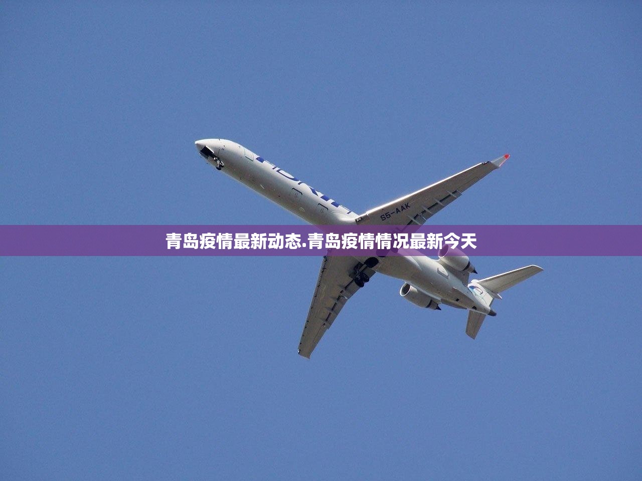 青岛疫情最新动态.青岛疫情情况最新今天