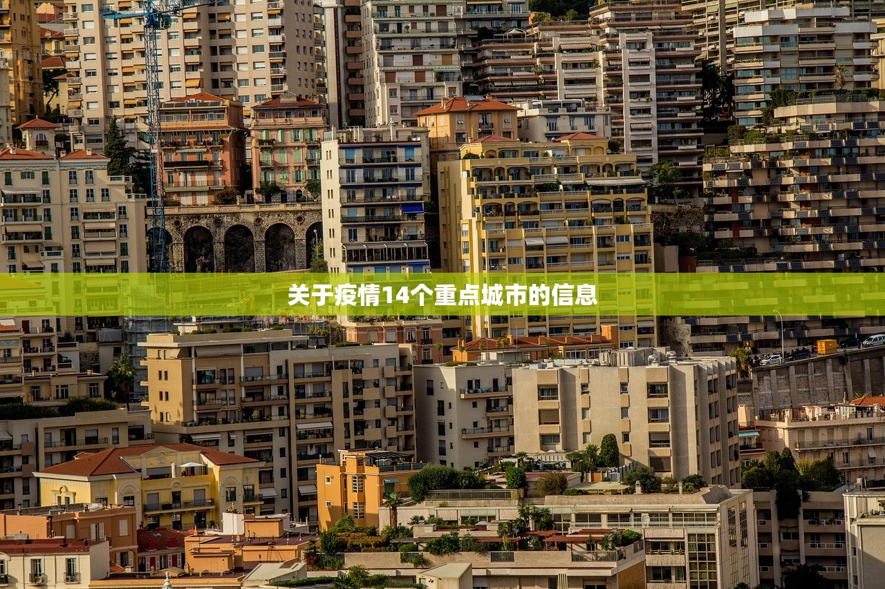 关于疫情14个重点城市的信息