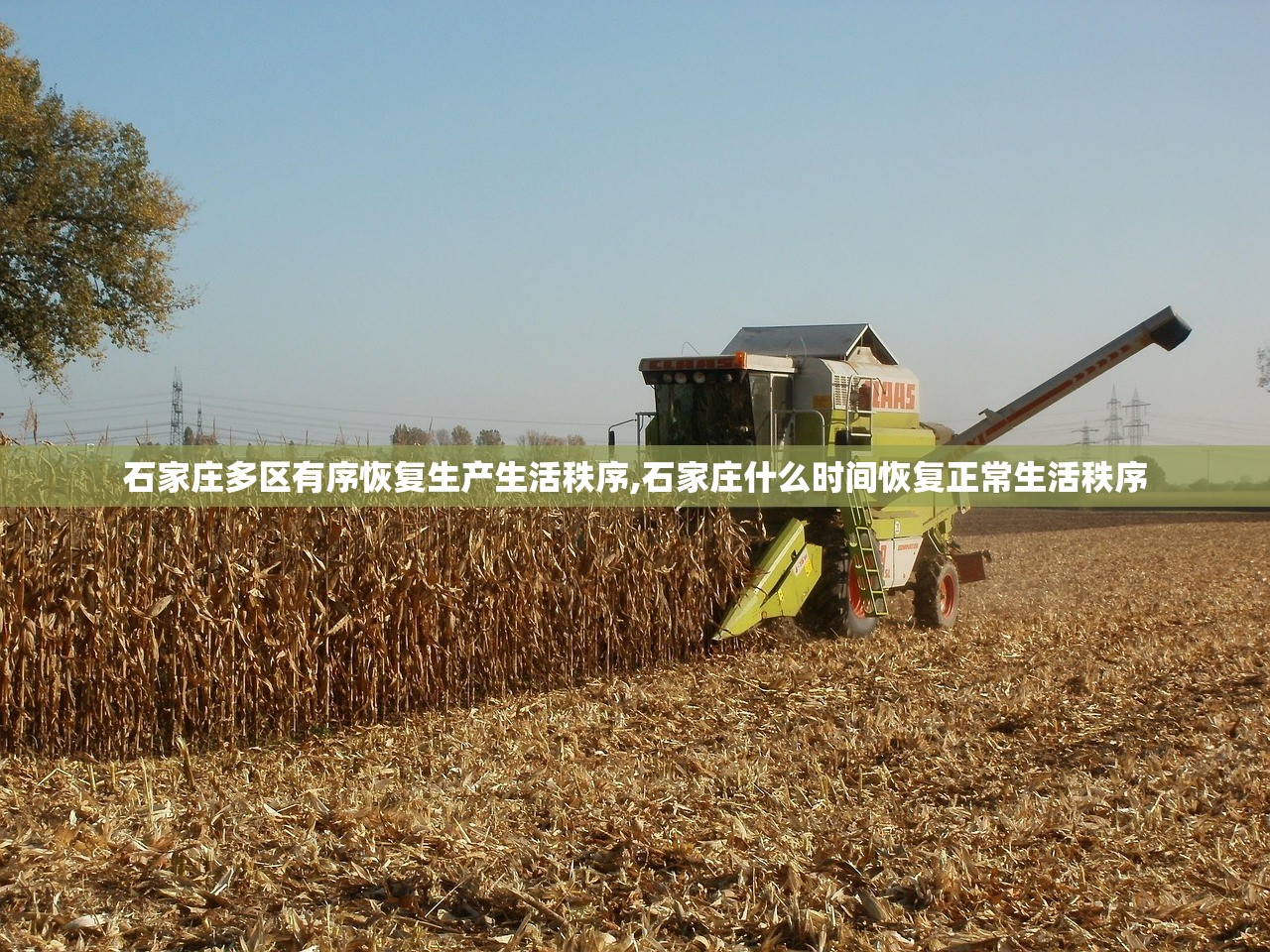 石家庄多区有序恢复生产生活秩序,石家庄什么时间恢复正常生活秩序