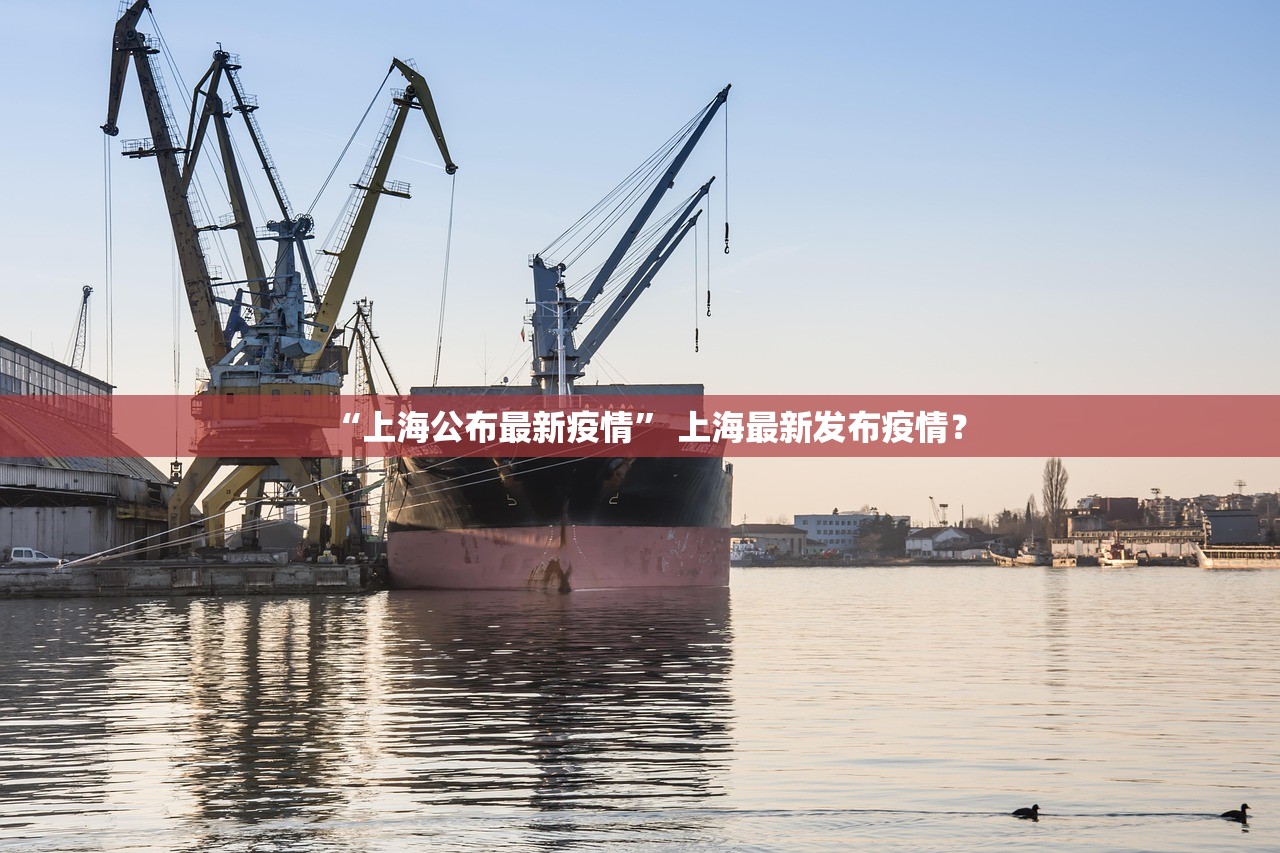 “上海公布最新疫情” 上海最新发布疫情？