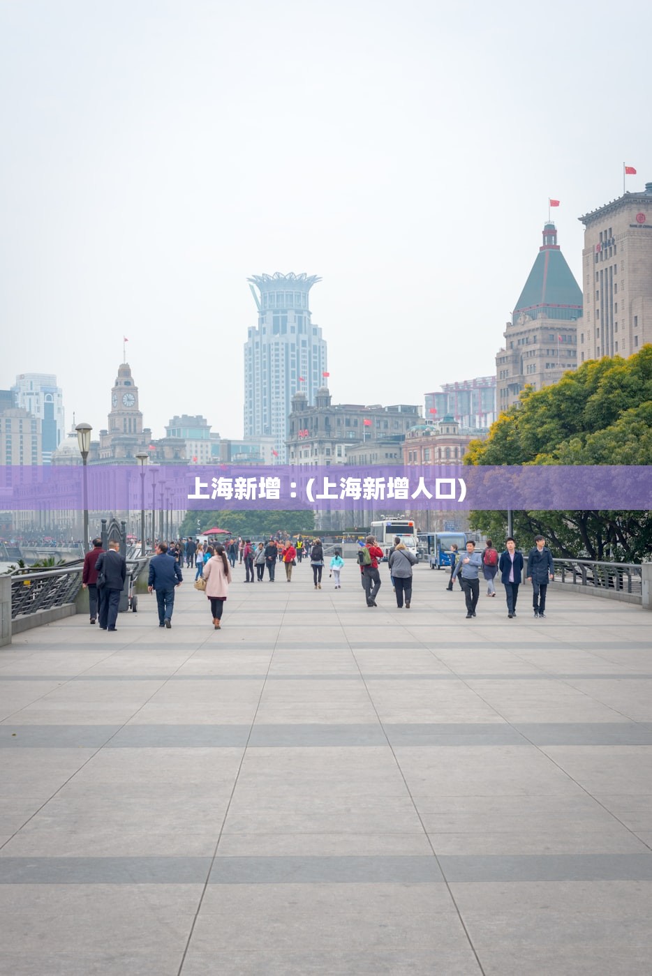上海新增︰(上海新增人口)
