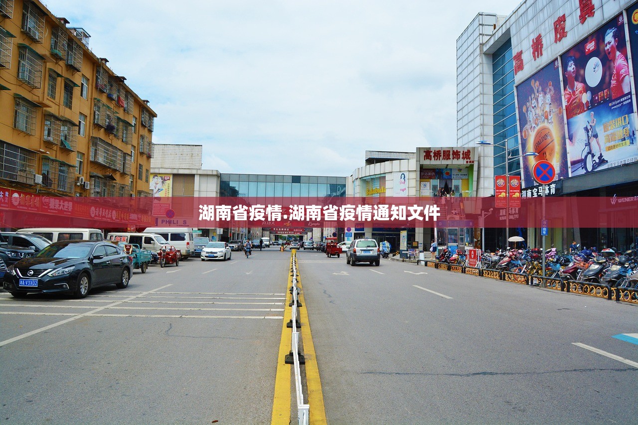 湖南省疫情.湖南省疫情通知文件 湖南省疫情.湖南省疫情通知文件