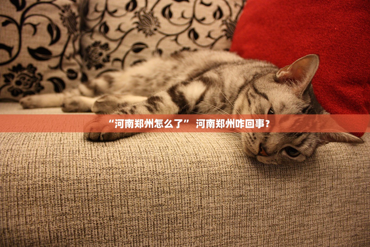 “河南郑州怎么了” 河南郑州咋回事？