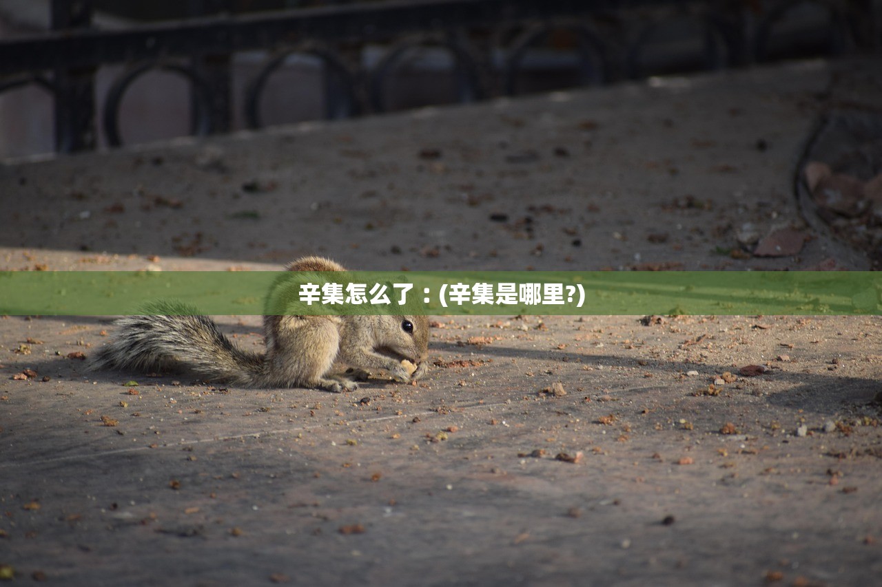 辛集怎么了︰(辛集是哪里?)