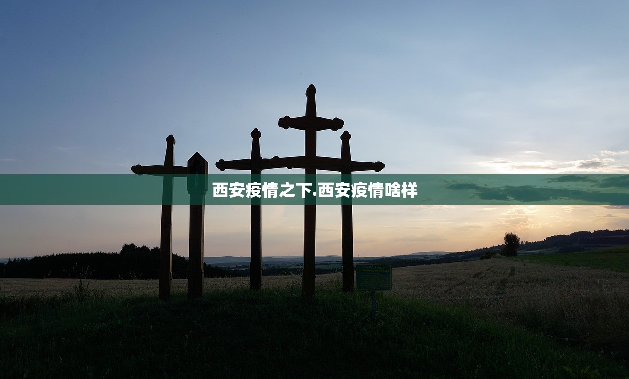 西安疫情之下.西安疫情啥样