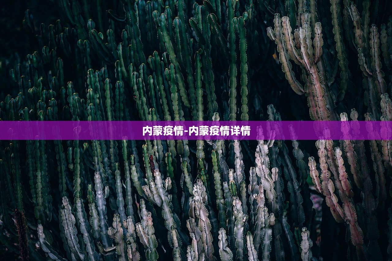 内蒙疫情-内蒙疫情详情