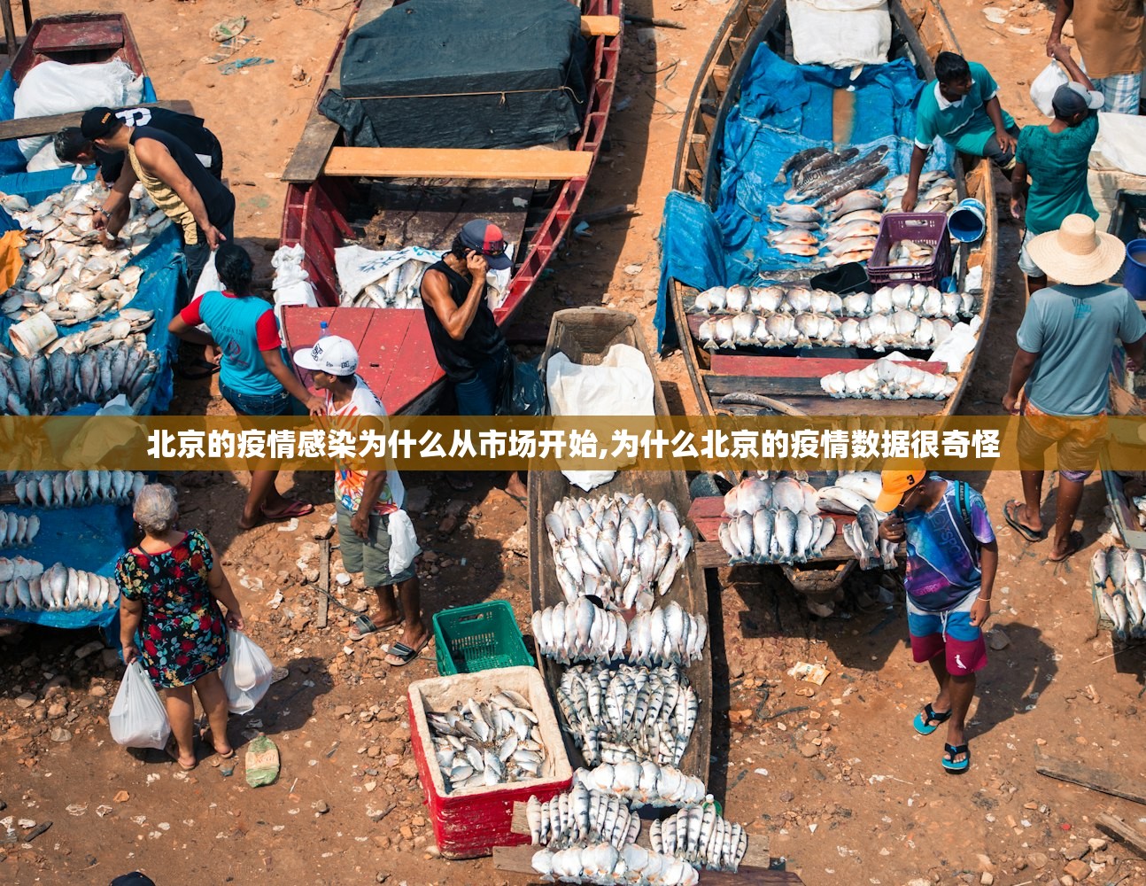 北京的疫情感染为什么从市场开始,为什么北京的疫情数据很奇怪