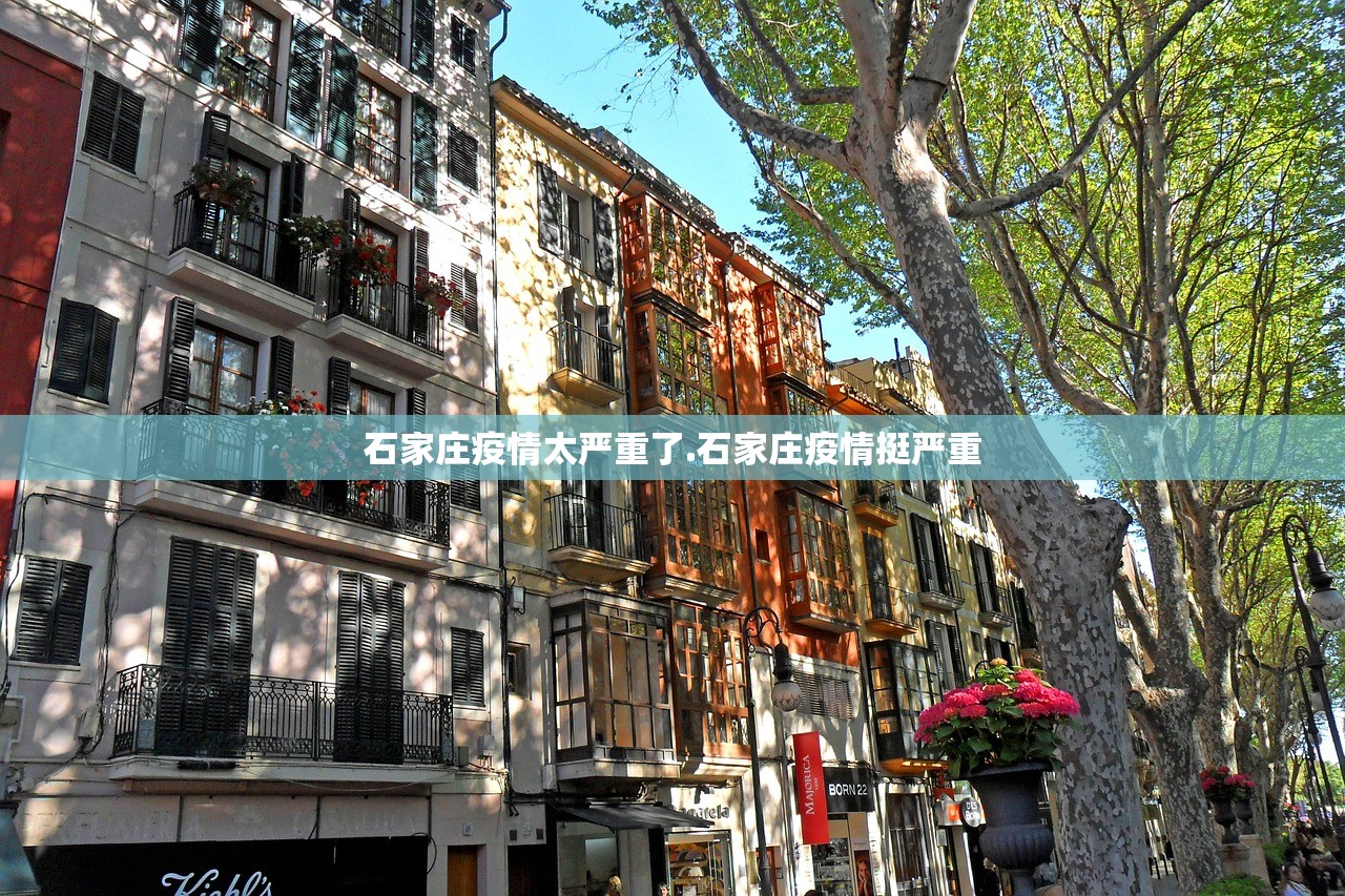 石家庄疫情太严重了.石家庄疫情挺严重
