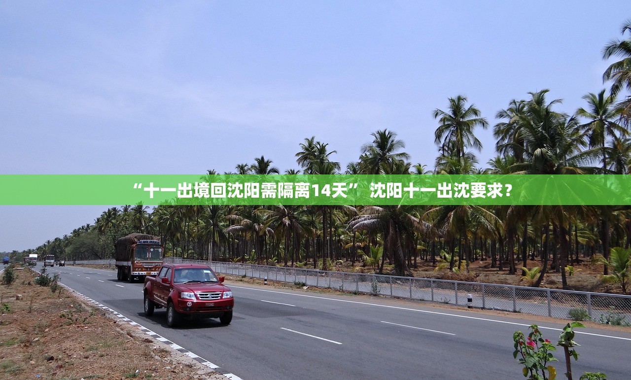 “十一出境回沈阳需隔离14天” 沈阳十一出沈要求？