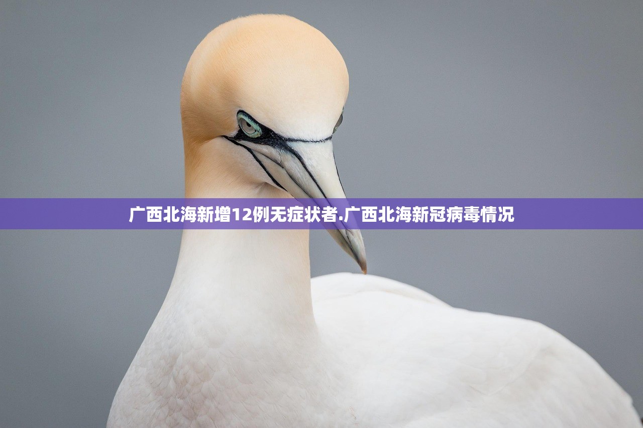 广西北海新增12例无症状者.广西北海新冠病毒情况
