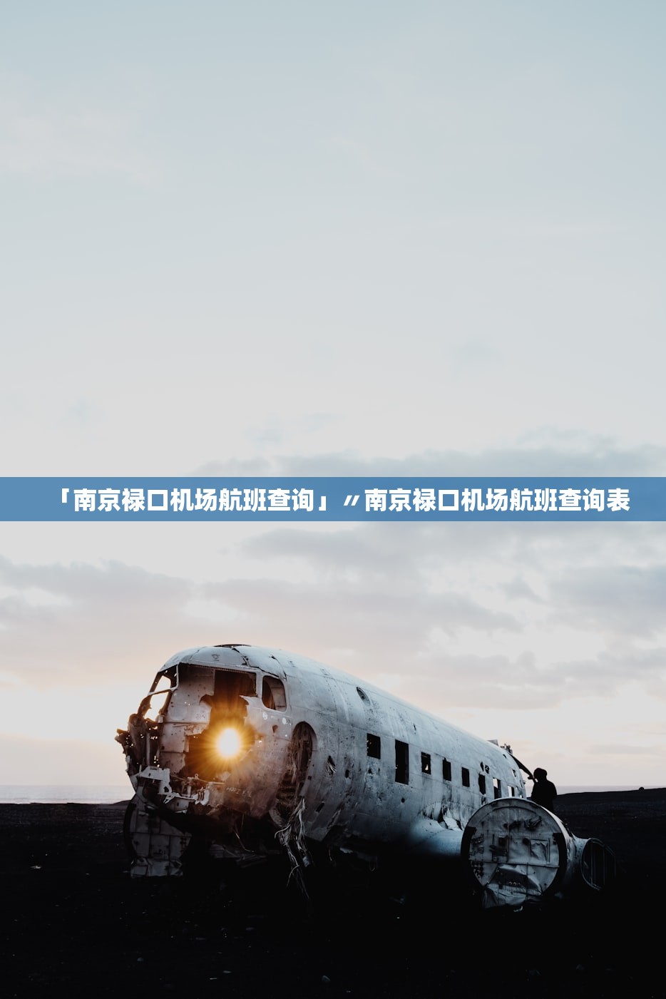 「南京禄口机场航班查询」〃南京禄口机场航班查询表