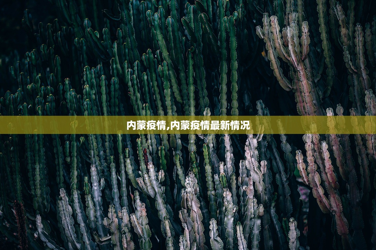 内蒙疫情,内蒙疫情最新情况